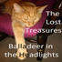 Balladeer in the Headlights
