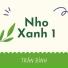 Trần Đỉnh