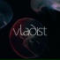 Vladist