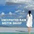 Meitin Sharp