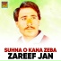 Zareef Jan