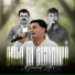 Mirshad Ari feat. Haval Chamchamali, Zhwan Jamal