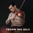 Alisher