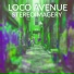 Stereoimagery