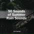 Rainy Sounds, Tinnitus Aid, Instrumental