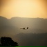 Lil Xavi