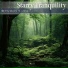 Starry Tranquility