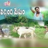 Swamy