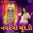 Abhita Patel, Nitin Barot