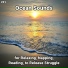 Shoreline Sounds, Nature Sounds, Ocean Sounds