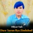 Dilyar Safi