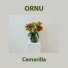Ornu