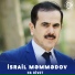 Israil ha bivot