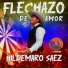 Hildemaro Saez