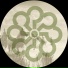 Max Essa
