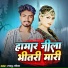 Laddu Laila