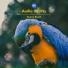 Audio Infinity