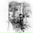 Elias Harmon