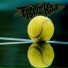 Trick 17