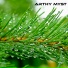 Arthy Myst