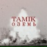 TAMIK, Dem.as