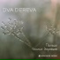 Dva Dereva