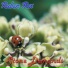 Ruben Rex