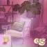 kween litty, Cozy, Cozy Lofi