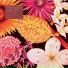 Patchworks