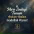 Asadullah Wazeer