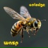 Unlodge