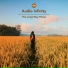 Audio Infinity