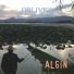 Algin Sergei
