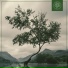 Funky Notes, Eu93ne, Beats for Trees