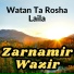 Zarnamir Wazir