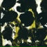 Jerry Johansson Octet