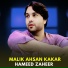 Hameed Zaheer