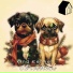 luv pug, Spaniel Mac