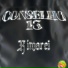 Conselho 13, Malikh Trezzy, Dj Tanta, Zicoru