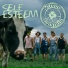 Steve n Seagulls