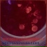 Riversofgarlic01