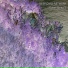 Deep Chill Network