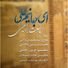 Abasalt Ebrahimi