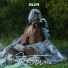 QLER