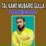 Saad Mahmood Saadi