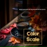 Color Scale