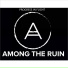 Among The Ruin