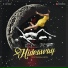 Moonwalkers