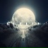 Ruelle