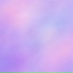 collie